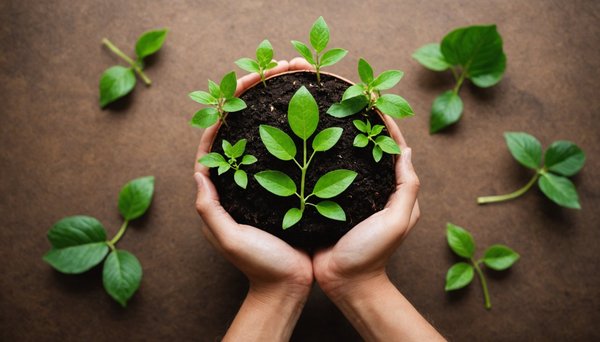 Embrace sustainability with unique eco friendly products